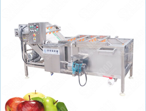 Stainless Steel Apple Washing Machine for Hygienic Fruit Cleaning
