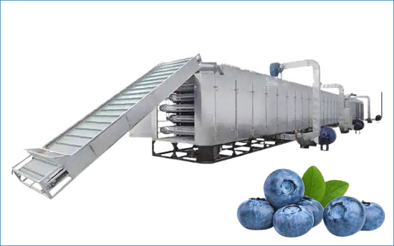 blueberry drying machine