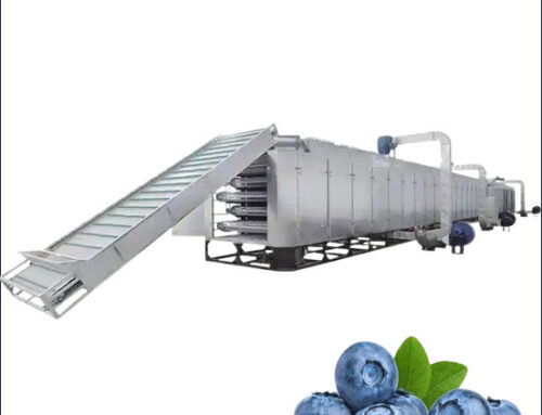 Continuous Blueberry Drying Machine for Efficient Fruit Dehydration