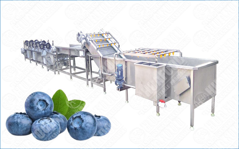 blueberry washing and drying machine