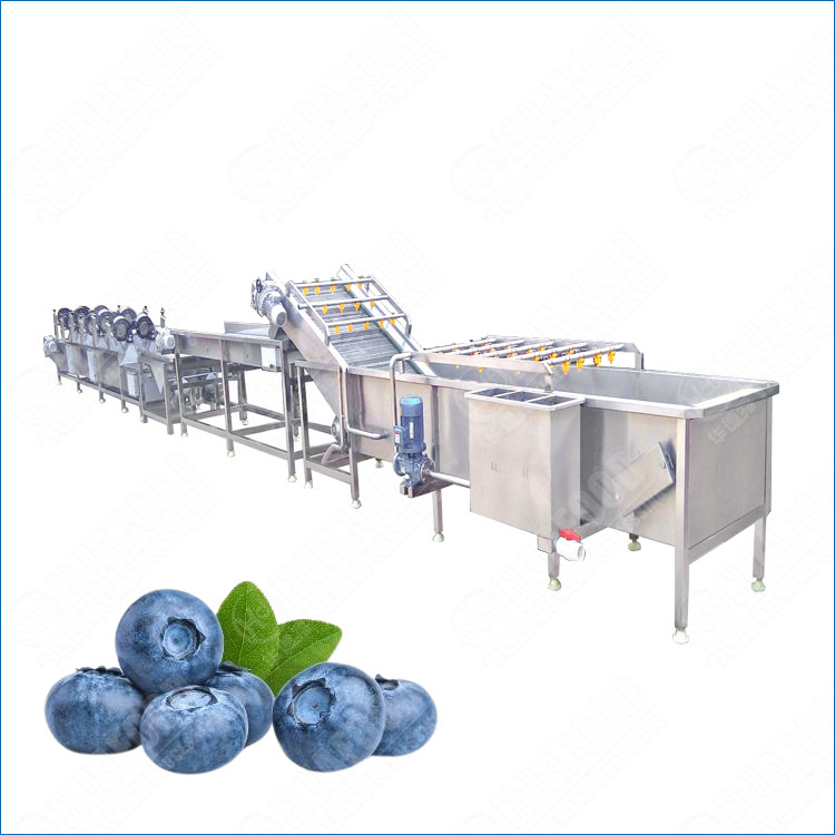 blueberry washing and drying machine