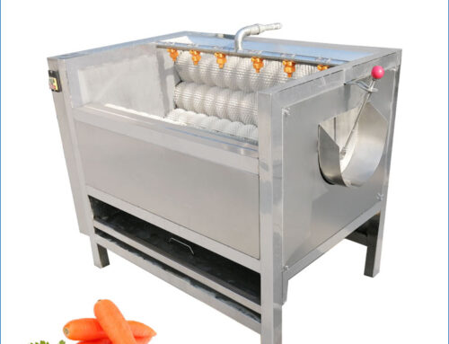 Automatic Carrot Washing And Peeling Machine with High Efficiency