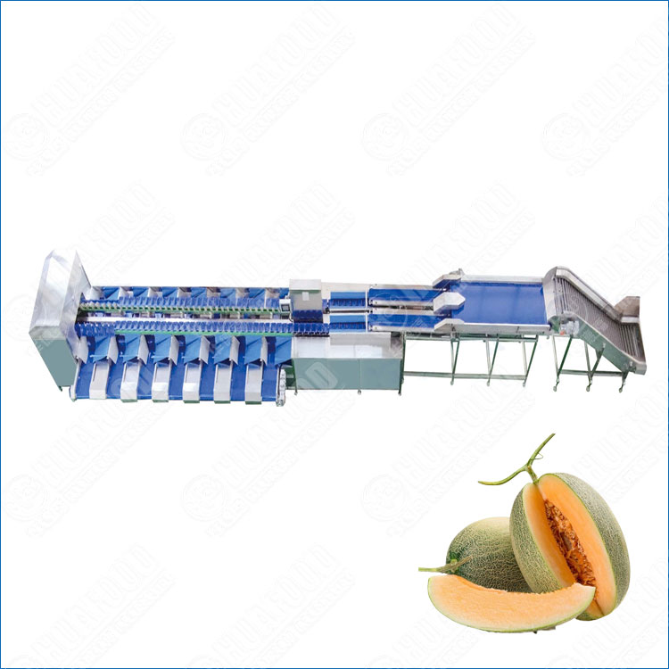hami melon grading machine