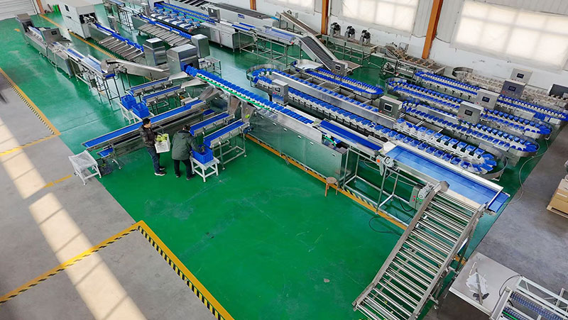 harmi melon grading machine in our factory