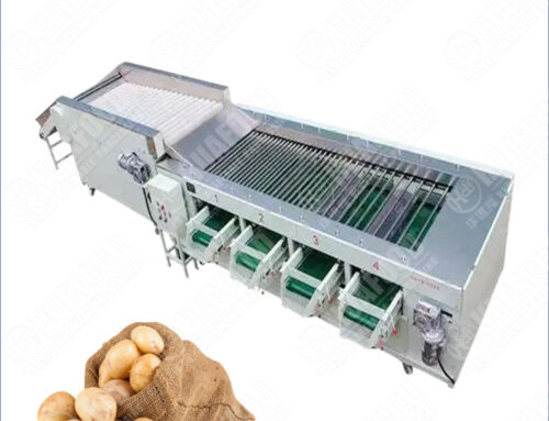 High Output Potato Grading Machine for Accurate Size Sorting