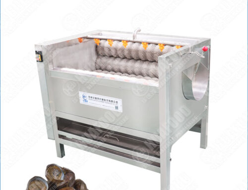 Stainless Steel River Snail Brush Washing Machine for Shells