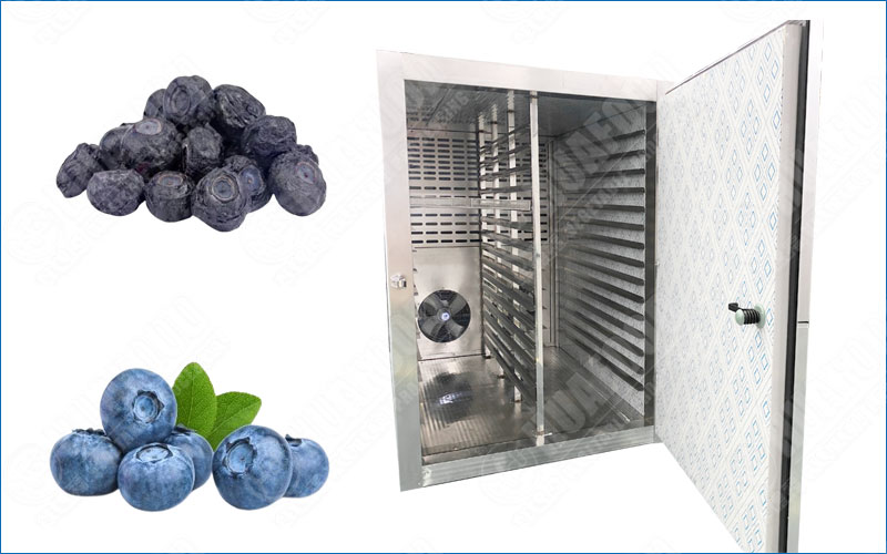 blueberry dehydrating machine