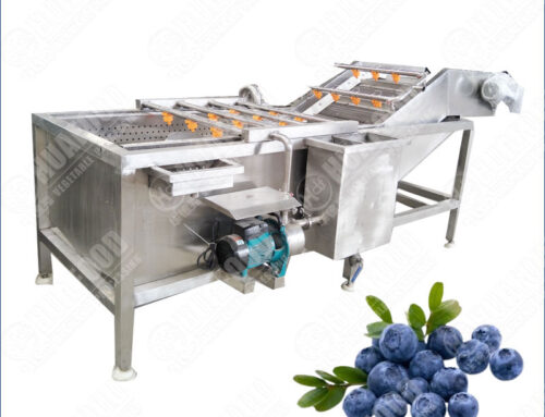Blueberry Ozone Bubble Fruits Washing Machine Removes 99.9% Residues