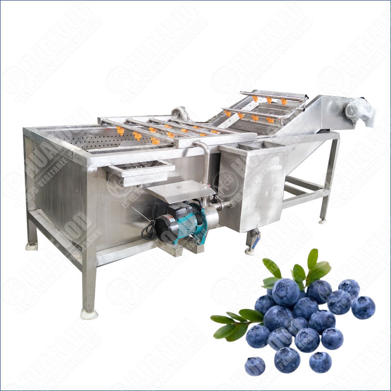 blueberry washing machine