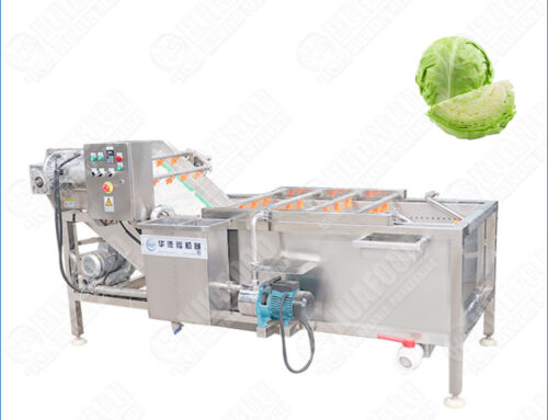 Industrial Cabbage Bubble Washing Machine | Gentle Yet Hygienic Cleaning