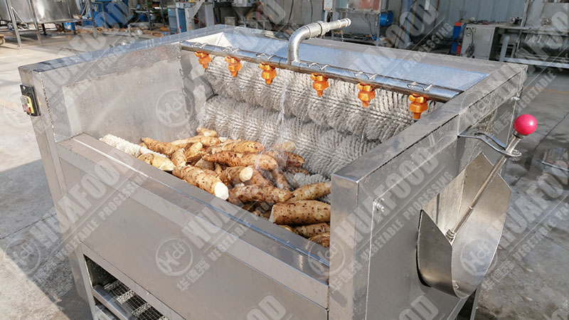 cassava washing and peeling machine