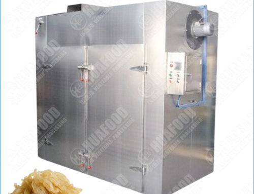Stainless Steel Jellyfish Hot Air Circulation Dryer Machine For Sale