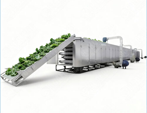 Continuous Kale Leaves Drying Dehydrator Machine With High Capacity