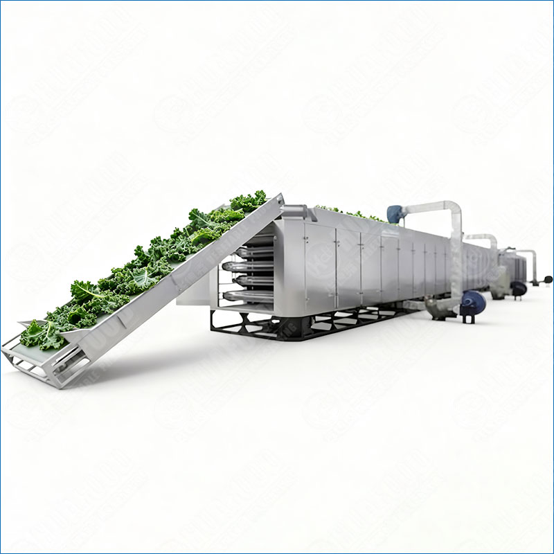 kale leaves drying machine