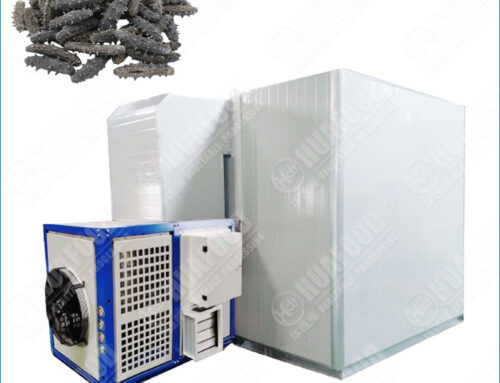 High Efficiency Heat Pump Sea Cucumber Drying Machine Saving 70% طاقة