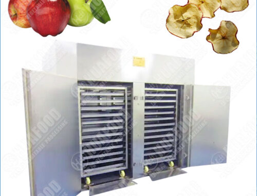 Hot Air Circulation Apple Fruits Chips Drying Machine for Even Drying