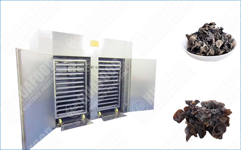 black fungue drying machine