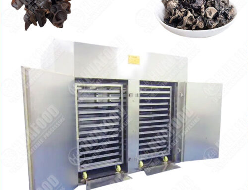 Commercial Fungue Drying Machine With Hot Air Circulation System