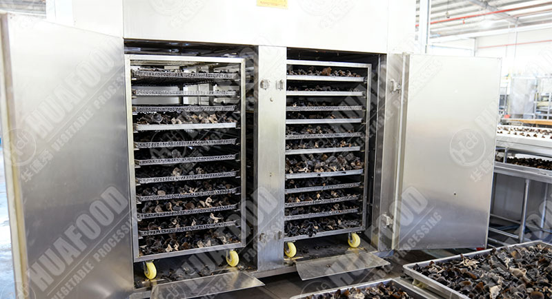 black fungue drying machine