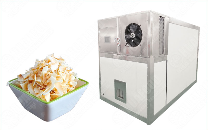coconut chips drying machine