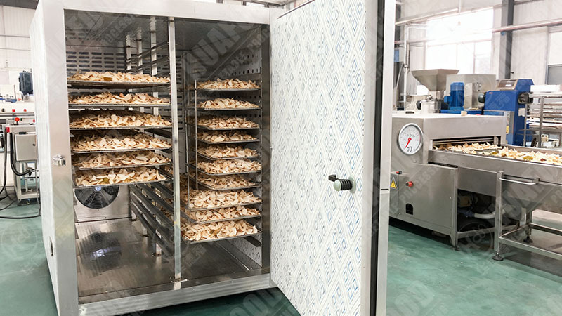 coconut chips drying machine details