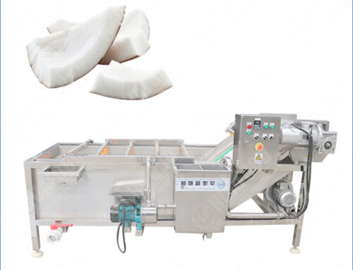 Industrial Coconut Meat Bubble Washing Machine with Ozone Sterilizer