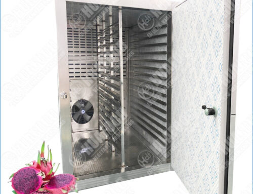 Energy Saving Dragon Fruit Dehydrator Machine With Heat Pump Tech