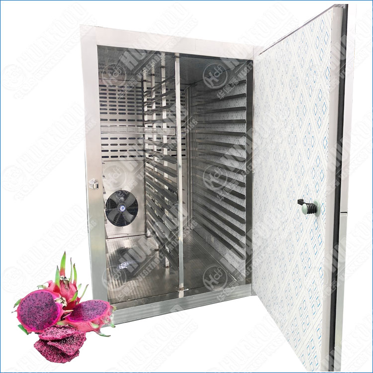 dragon fruits dehydrator machine