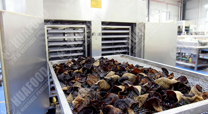 fungue drying machine details