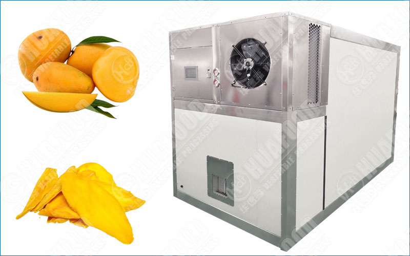 mango drying machine