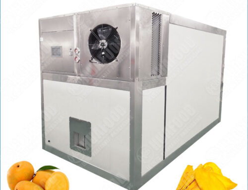 Industrial Heat Pump Mango Drying Machine – Energy Saving