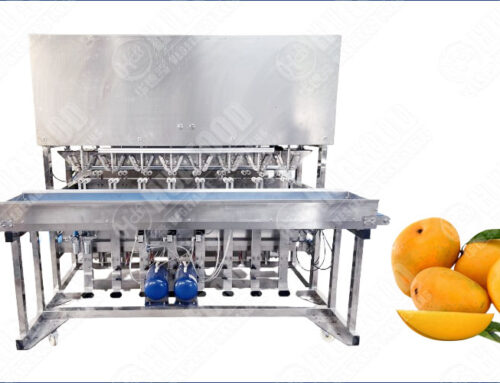 Commercial Mango Fruit Peeling Machine Price