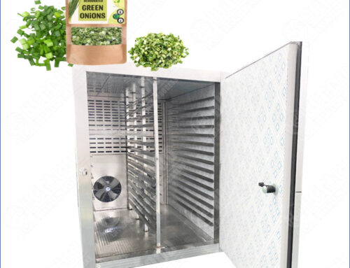 Energy Saving Scallion Drying Machine With Heat Pump