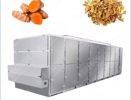 Industrial Turmeric Drying Machine With Continuous Mesh Belt
