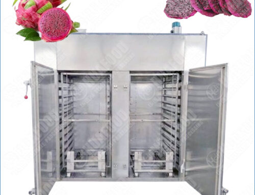 Commercial Dragon Fruit Drying Machine with Uniform Drying