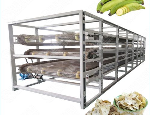 Continuous Plantain Chips Drying Machine Large Capacity With Mesh Belt