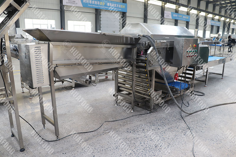 automatc onion peeling machine details