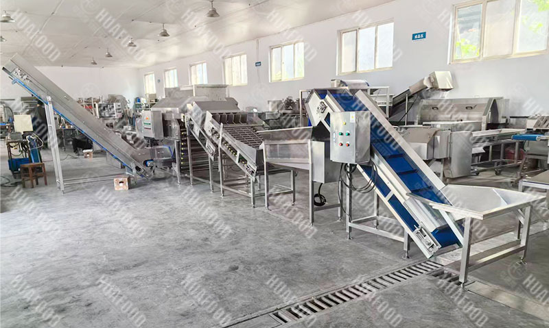 onion peeling and root cutting machine details