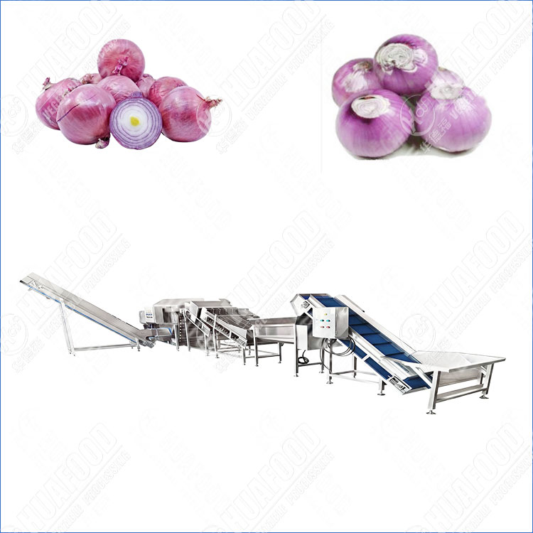 onion peeling and root cutting machine