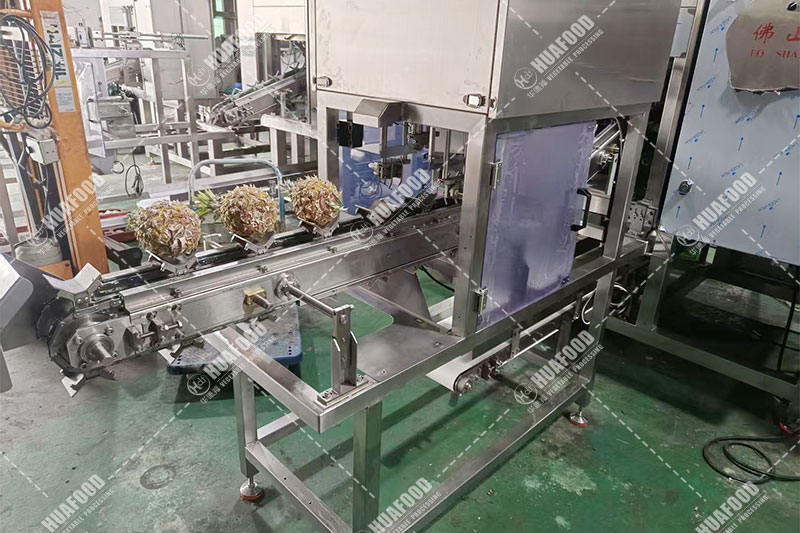 pineapple peeling machine
