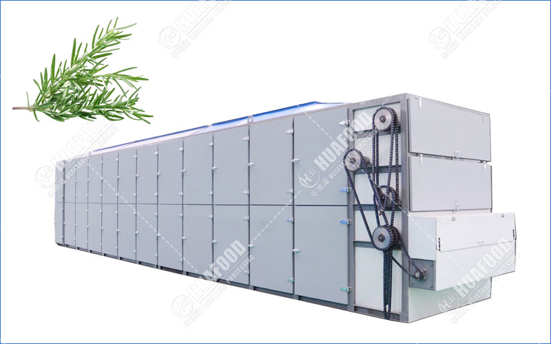 rosemary drying machine