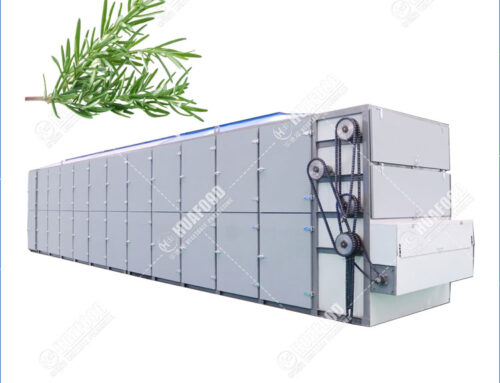 Secadora continua de romero con correa de malla con múltiples capas