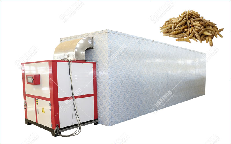 Black soldier fly larvae dryer