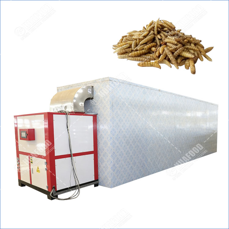 Black soldier fly larvae dryer