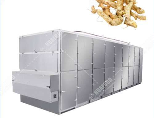 Large Capacity Solomon’s Seal Drying Machine With Mesh Belt Dryer System