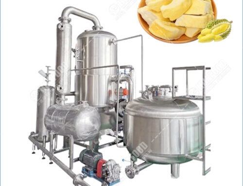 Industrial Durian Freeze Dryer Machine with Vacuum Freeze Technology