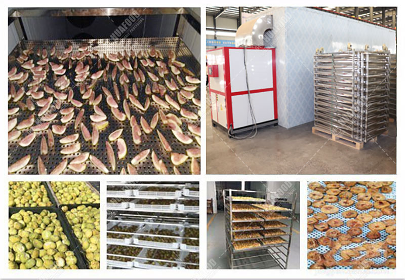 تفاصيل آلة تجفيف التين