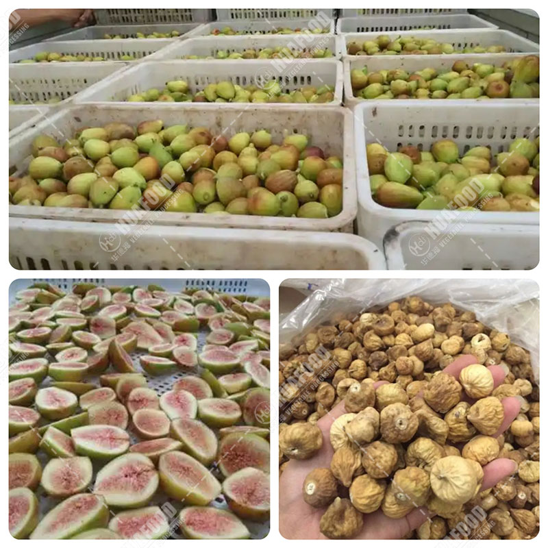 تفاصيل تجفيف التين