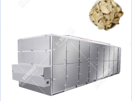 大型香料厂多层带式生姜片干燥机