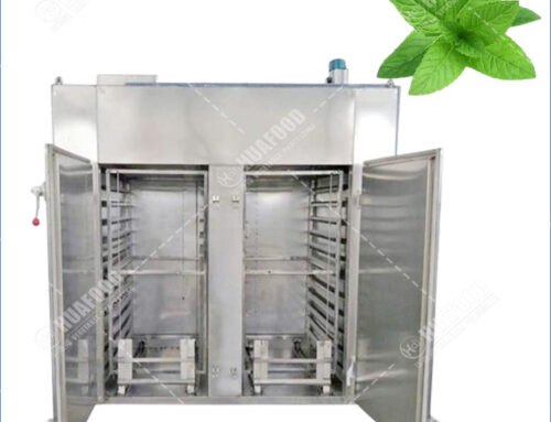 Affordable Mint Leaf Drying Machine With Hot Air Circulation System
